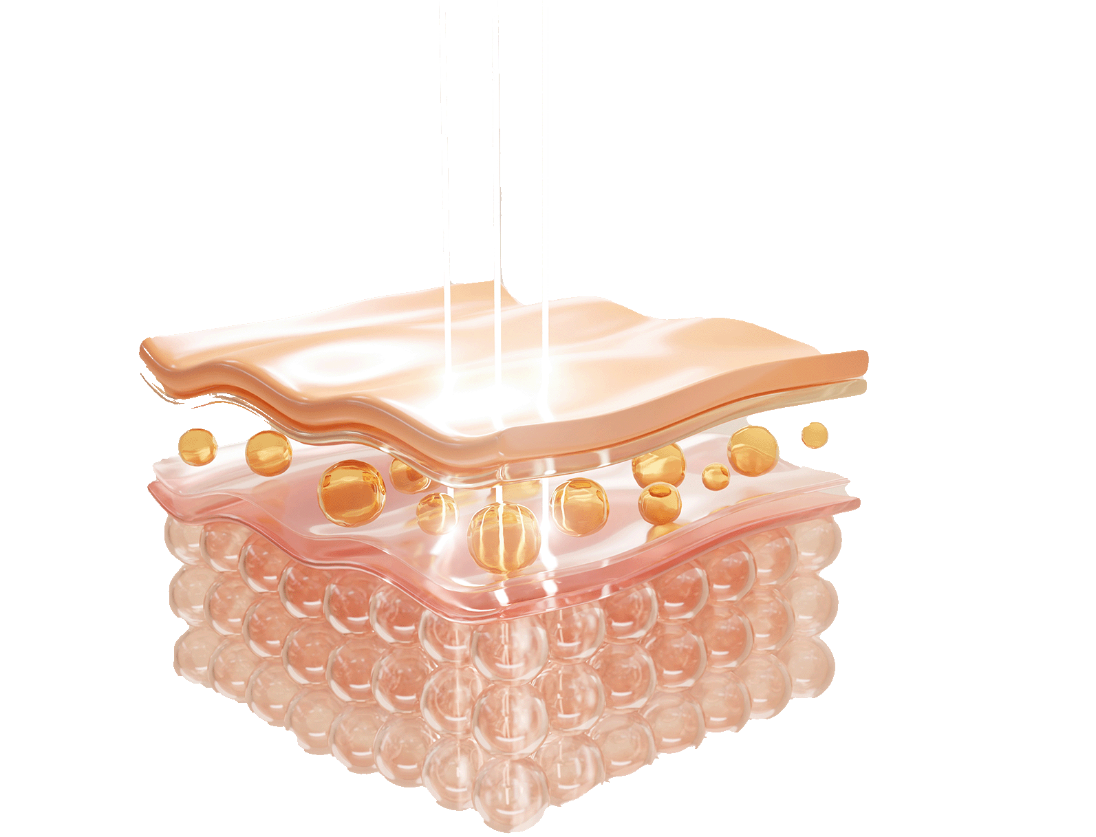 Schéma des différentes couches de la peau montrant l’action des exosomes sur la régénération cutanée